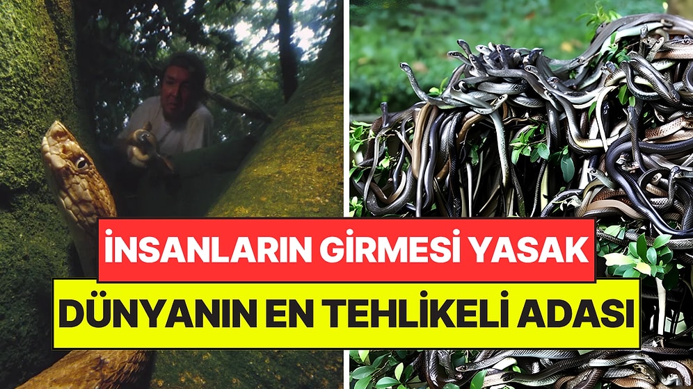Haritada Var Ama Gitmek İmkansız: Dünyanın En Tehlikeli Adasına Ayak Basan Son Nefesini Veriyor