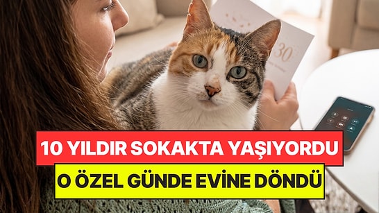 10 Yıldır Kayıp Olan Kedi, Sahibinin Doğum Gününde Evine Geri Döndü