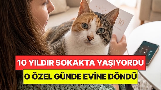 10 Yıldır Kayıp Olan Kedi, Sahibinin Doğum Gününde Evine Geri Döndü