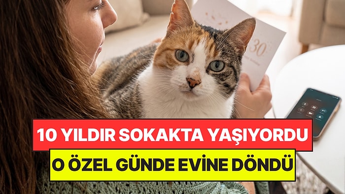 10 Yıldır Kayıp Olan Kedi, Sahibinin Doğum Gününde Evine Geri Döndü