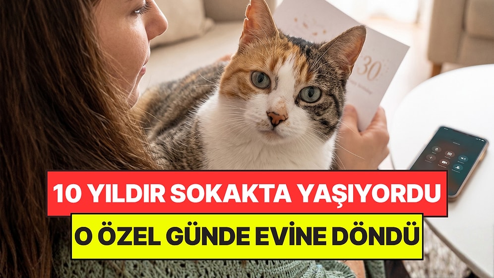 10 Yıldır Kayıp Olan Kedi, Sahibinin Doğum Gününde Evine Geri Döndü