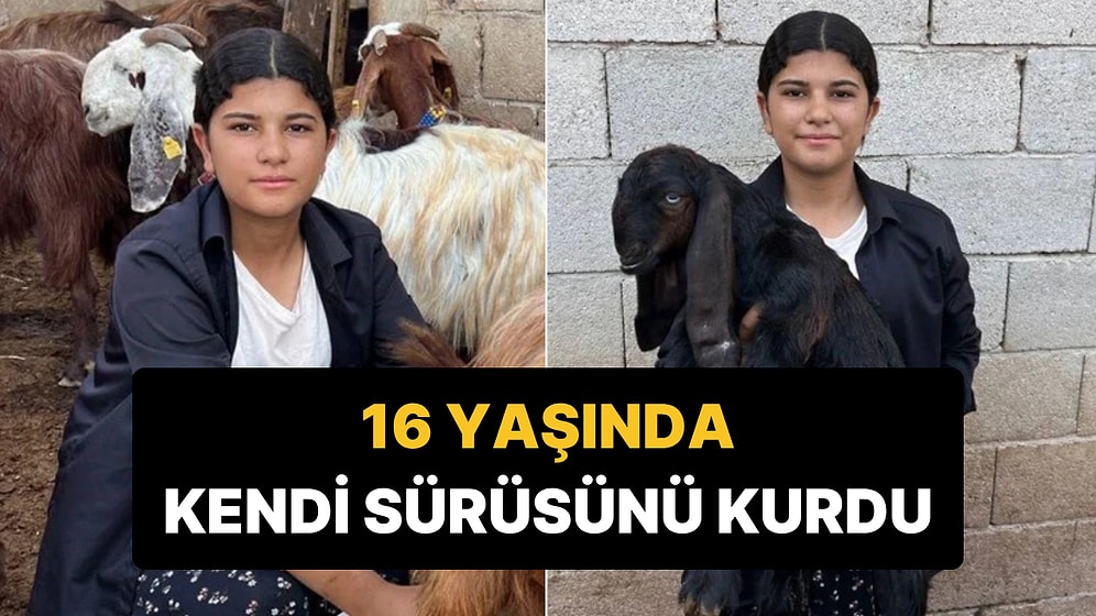 16 Yaşındaki Esmanur'un İlham Veren Başarısı: 5 Keçiyle Başladı, Şimdi Ailesine Destek Oluyor!
