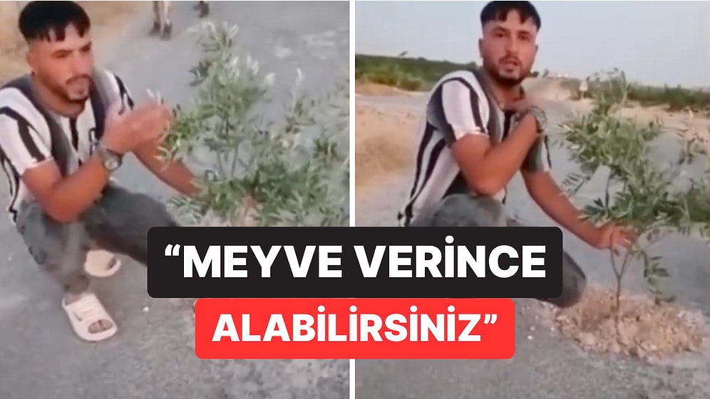 Şanlıurfa’da Vatandaşlar Çukurlara İsyan Etti: Yollara Fidan Diktiler