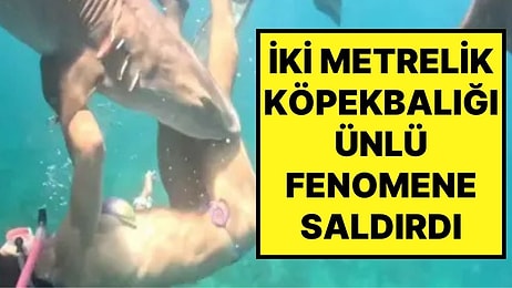 Ölümle Burun Buruna! İki Metrelik Köpekbalığının Ünlü Fenomene Saldırısının Görüntüleri Milyonlarca İzlendi