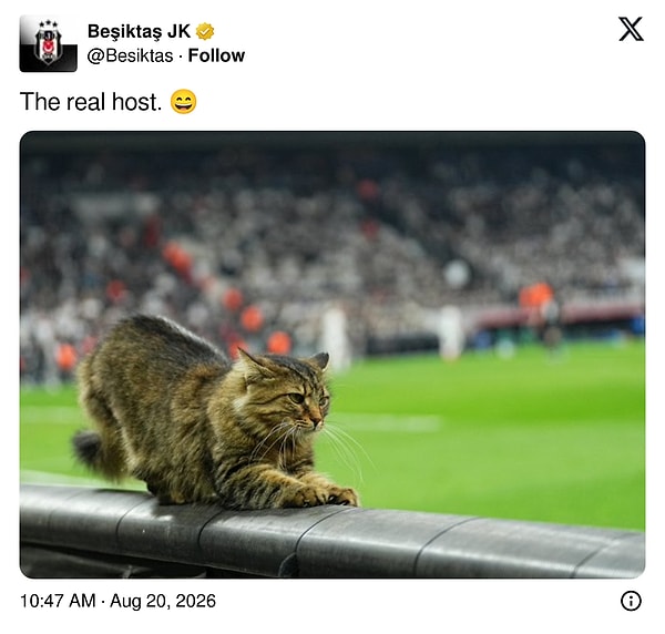 Beşiktaş'ın resmi hesabı ise bu paylaşıma "Gerçek ev sahibi" yanıtını verdi.