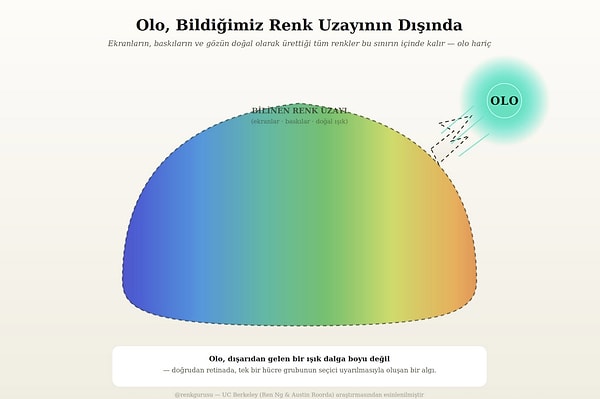 Olo aslında renkten daha fazlasını temsil ediyor...