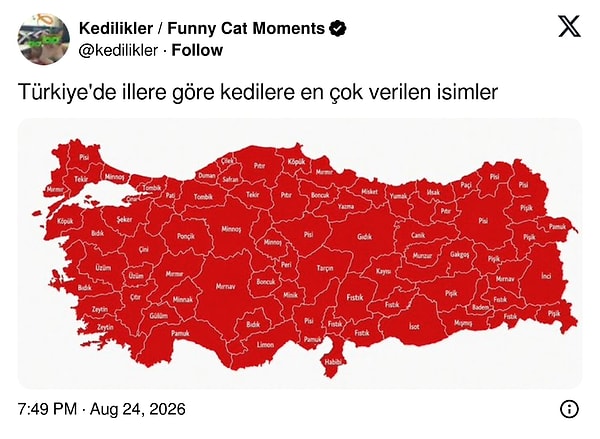 Türkiye'de illere göre kedilere en çok verilen isimlerin haritası, sosyal medyada viral oldu.