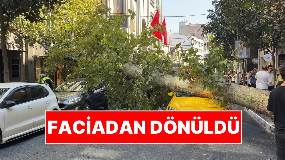 Faciadan Dönüldü: İstanbul'da Asırlık Çınar Ağacı Yola Devrildi