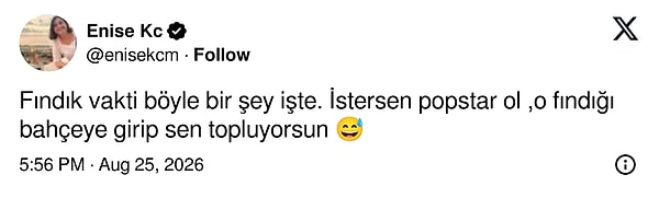 👇🏻