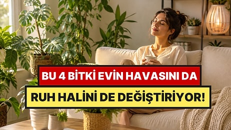 Oturma Odasına Koyan Baş Ağrısı Çekmiyor: Havayı Temizleyen ve Stresi Alan 4 Bitki