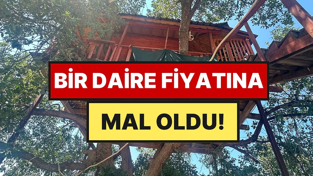 150 Yıllık Ağacın Üstüne Yaptı: Bir Daire Parasına Kıydı Ama Deprem ve Pandemide Hayatını Kurtardı