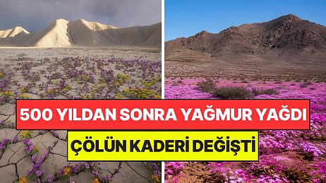 500 Yıldır Tek Damla Yağmayan Çöle Yağmur Yağınca "İmkansız" Denilen Olay Gerçekleşti