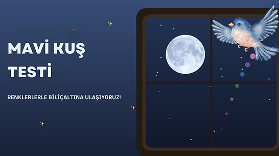 Mavi Kuş Testi: Renklerle Bilinçaltı Kişilik Analizi