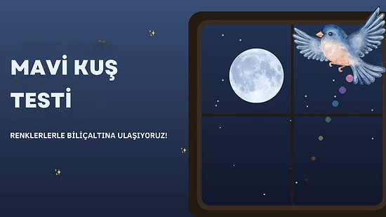 Mavi Kuş Testi: Renklerle Bilinçaltı Kişilik Analizi