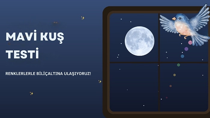 Mavi Kuş Testi: Renklerle Bilinçaltı Kişilik Analizi