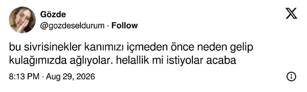 Helallik almadan devam edebilirler, en sinir bozucu kısım o.