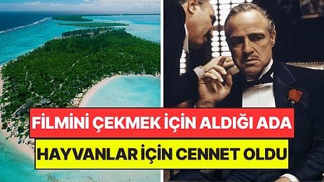 Ünlü Oyuncunun Filmi İçin Satın Aldığı Ada On Binlerce Hayvan İçin Cennet Oldu
