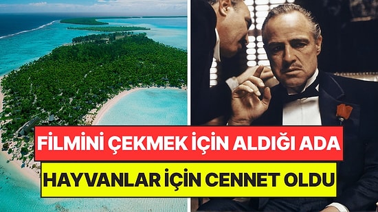 Ünlü Oyuncunun Filmi İçin Satın Aldığı Ada On Binlerce Hayvan İçin Cennet Oldu