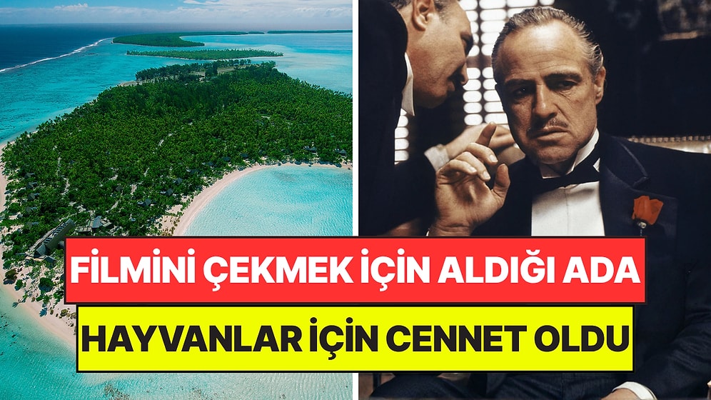 Ünlü Oyuncunun Filmi İçin Satın Aldığı Ada On Binlerce Hayvan İçin Cennet Oldu
