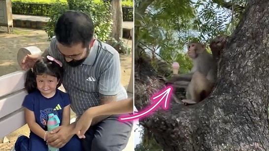 Sneaky Monkey Steals Ice Cream From Content Creator's Daughter in India