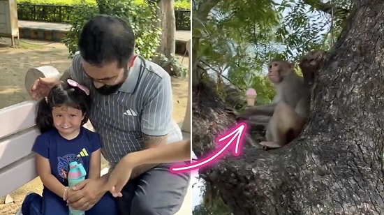 Sneaky Monkey Steals Ice Cream From Content Creator's Daughter in India