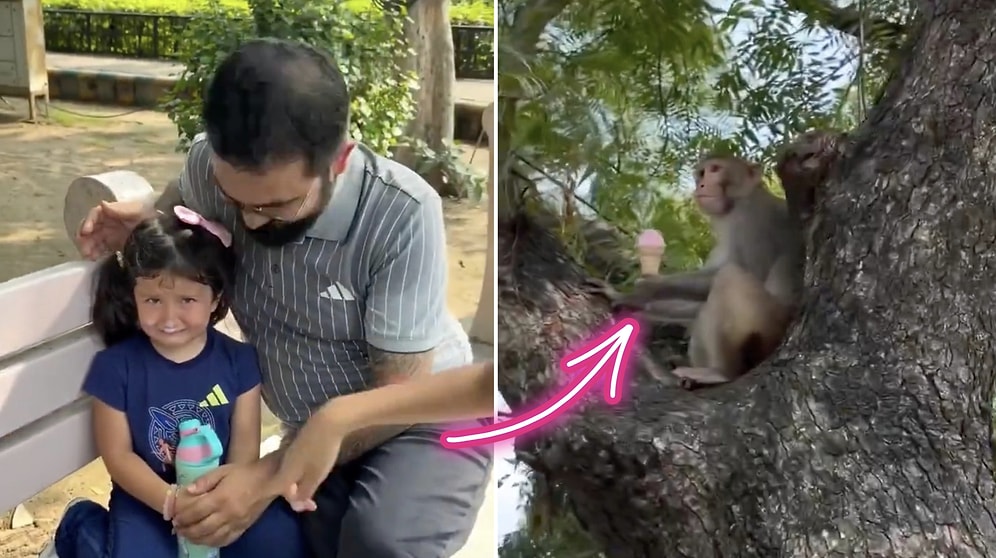 Sneaky Monkey Steals Ice Cream From Content Creator's Daughter in India