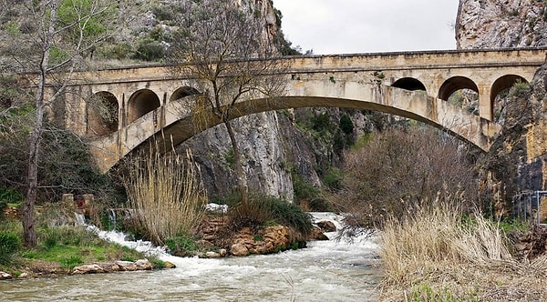 In this village, whose economy is based on agriculture, livestock, almond and olive oil production, and forestry, the areas where there is an urgent need for labor are as follows: