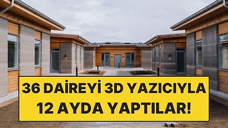 36 Dairelik Mahalleyi 3D Yazıcıyla 12 Ayda Yaptılar!