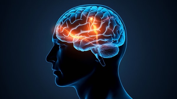 Koşu bandında egzersiz yapmak Alzheimer hastalığıyla ilişkili beyin hasarını azaltabilir.