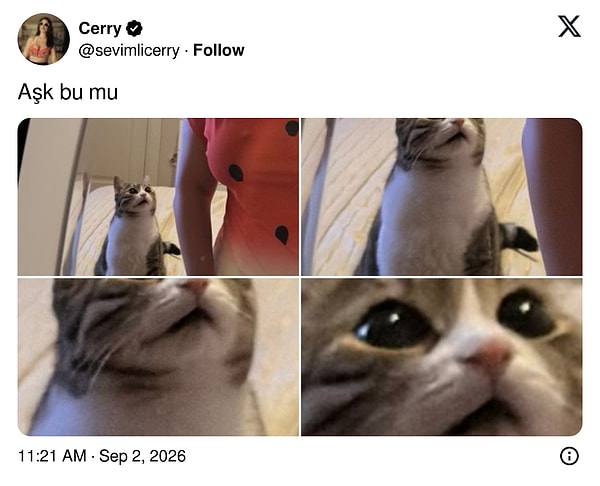 👇