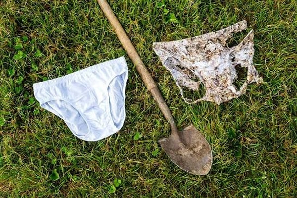 Araştırma sonucunda arazilerin durumuna ilişkin dikkat çekici veriler elde edildi: