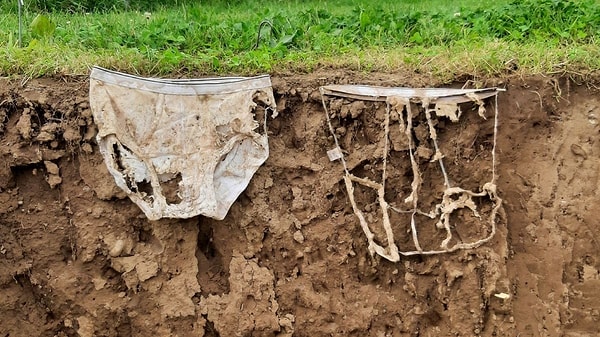Two months after being buried in the ground, it was observed that some of the garments had completely decomposed, turning into a skeleton of mere seams, while others remained almost entirely intact.