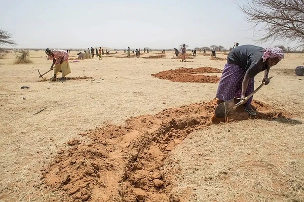 Through the implementation of the crescent technique and the supplementation of organic fertilizer on barren land, 70% of which had been subjected to erosion, it was miraculously documented that vegetation returned just after a single rainy season.