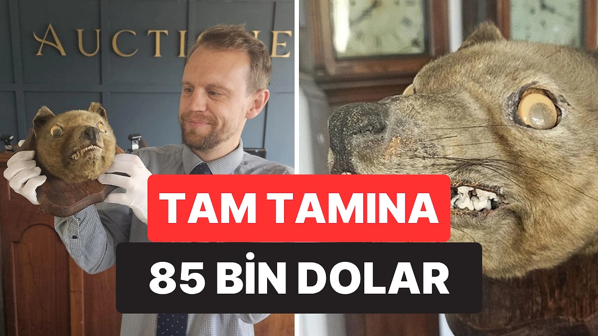 Bit Pazarından Alınan Eşya 85 Bin Dolarlık Nadir Bir Keşif Çıktı