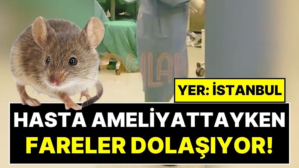 Göztepe Şehir Hastanesi'nde Kabus Gibi Görüntüler: Hasta Ameliyat Masasındayken Fareler Cirit Attı!