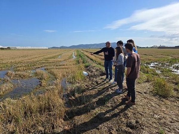 The Rice Straw Left in the Field Will Be Used in Home Construction