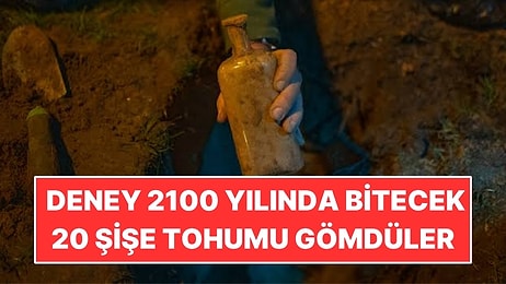 20 Şişe Tohumu Toprağa Gömdüler: Deney 2100 Yılında Bitecek