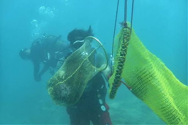 Yürütülen Yüzey Temizliği Çalışmaları Üç Farklı Kıyı Bölgesinde Somut Sonuçlar Verdi