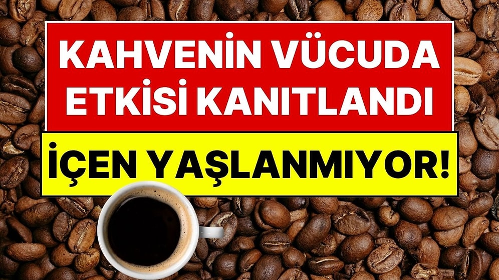 Sabah Kahveniz Boşuna Değil: Kafein Hücresel Yaşlanmayı Yavaşlatan 500 Milyon Yıllık Şalteri Açıyor