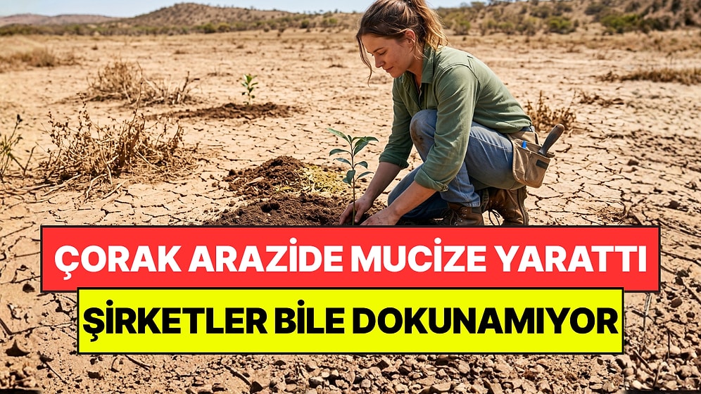 Çorak Araziye 119 Bin Ağaç Dikti: 45 Yılda Bölgede Mucize Yarattı
