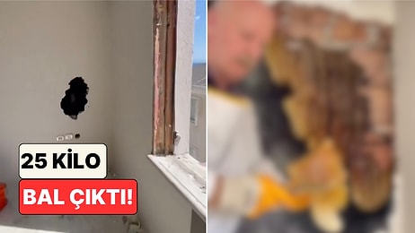 İstanbul'da Kentsel Dönüşüm Çalışmasında Duvarın İçinden Dev Bir Arı Kolonisi Çıktı