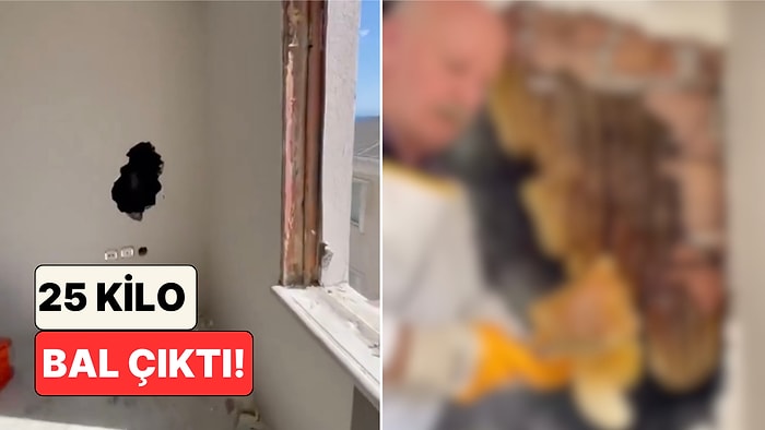 İstanbul'da Kentsel Dönüşüm Çalışmasında Duvarın İçinden Dev Bir Arı Kolonisi Çıktı