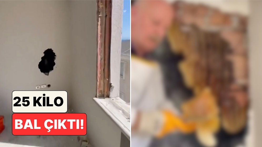 İstanbul'da Kentsel Dönüşüm Çalışmasında Duvarın İçinden Dev Bir Arı Kolonisi Çıktı