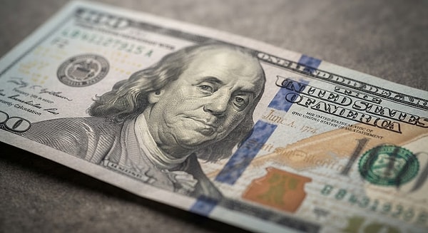 Dolar, yüksek getiriden çok Türk lirasındaki değer kaybına karşı bir kalkan görevi gördü.