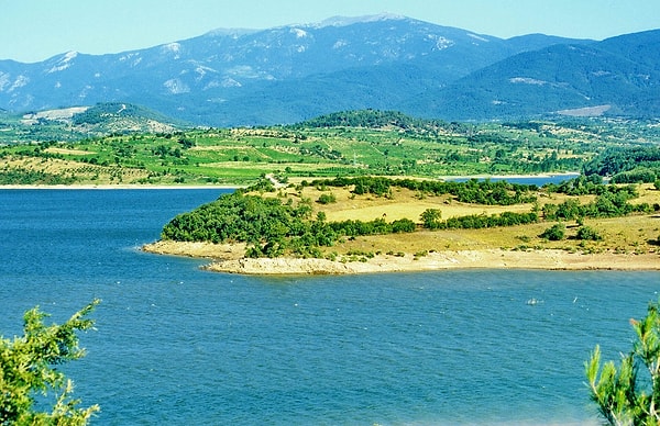 Çanakkale'de 20 Harfli Koşuburnutürkmenleri Var, Adıyaman'da İse Yalnızca Dut