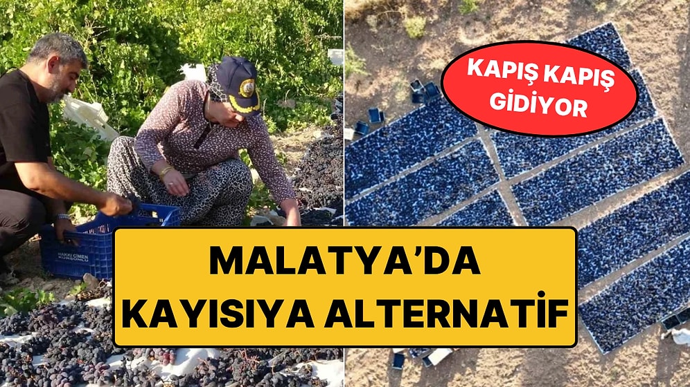 Kilosu 600 Liraya Çıktı: Toptancılar Geçen Yıldan Randevu Alıp Sıraya Girdi