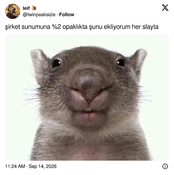 Peki neden?