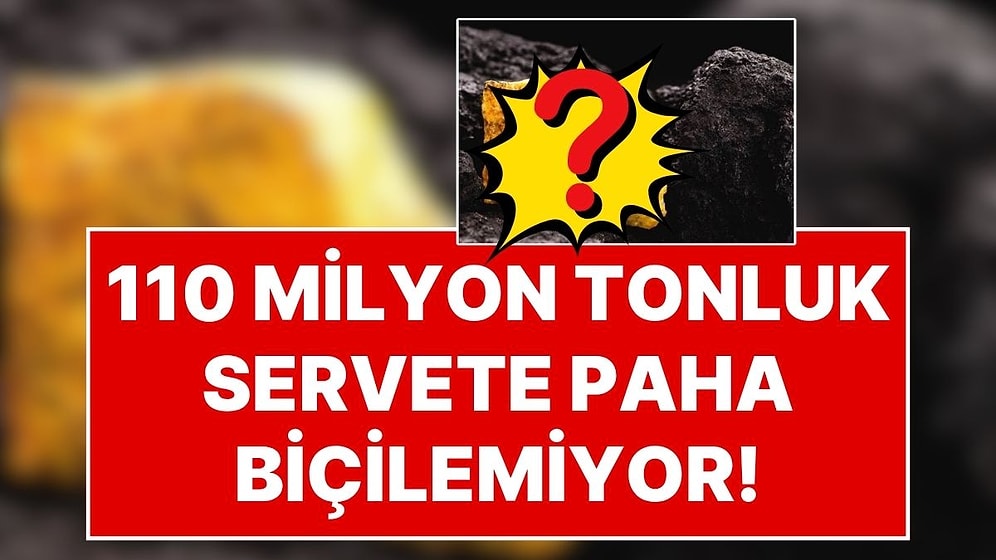 Suudi Arabistan'da Tarihi Keşif: 110 Milyon Tonluk Servetin Değerine Paha Biçilemiyor