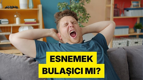 Karşımızdaki Kişi Esneyince Neden Refleks Olarak Esneriz?