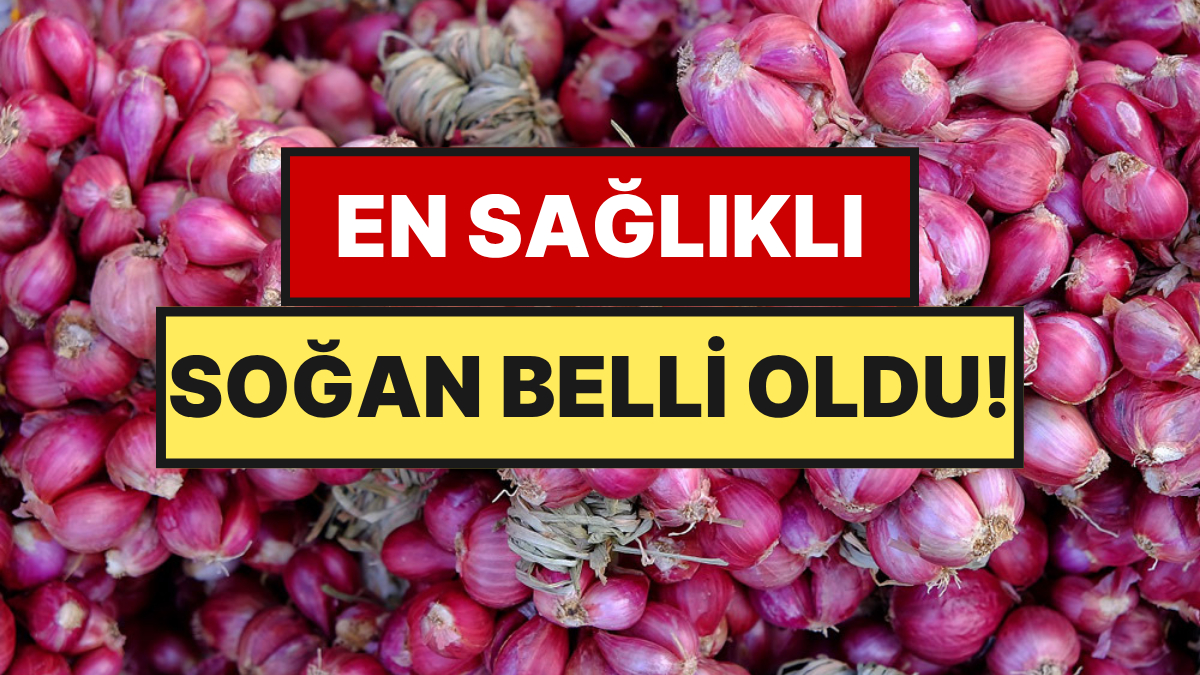 Soğanın En Sağlıklısı Beyaz ya da Kırmızı Değil, Bambaşka Bir Türmüş